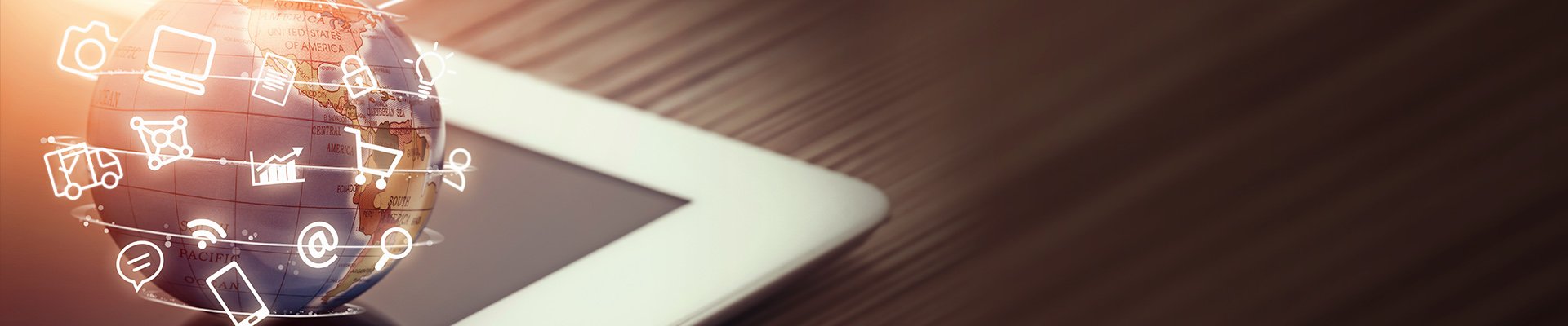 Bayilik Başvuru Formu